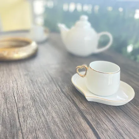 公寓 Sogno D Oltrarno 佛罗伦萨